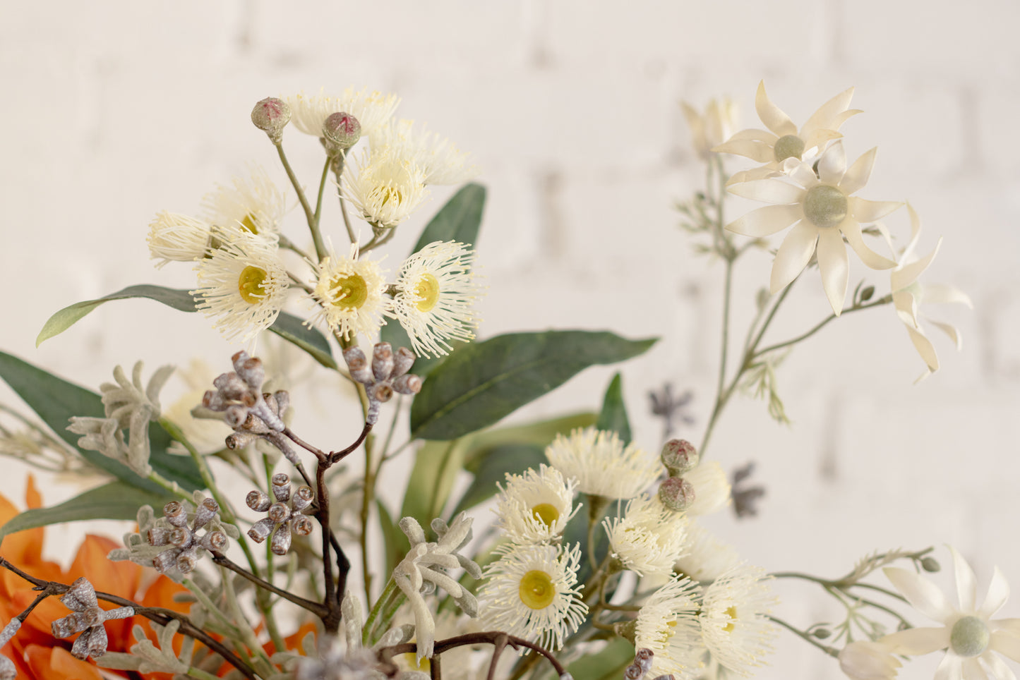 Flannel Flower Spray
