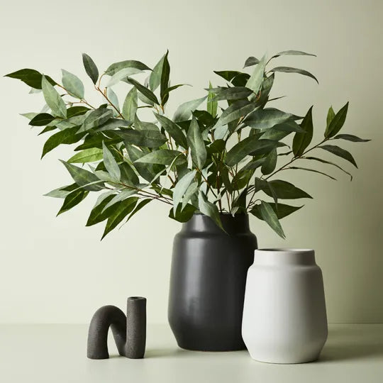 Eucalyptus Spray