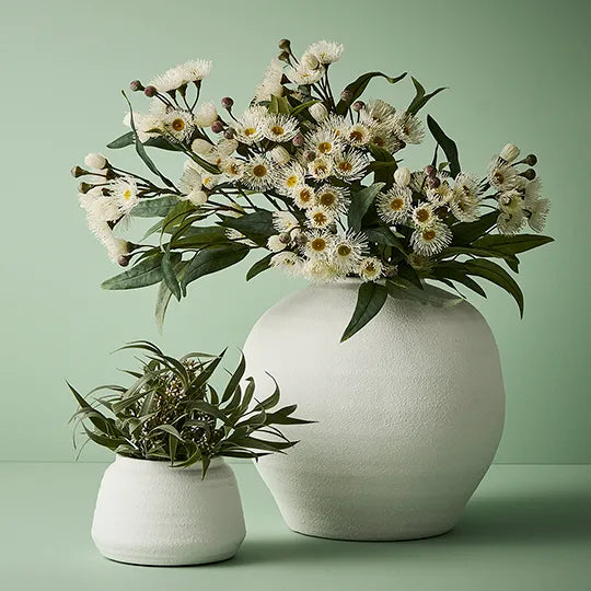 Eucalyptus Flowering Spray