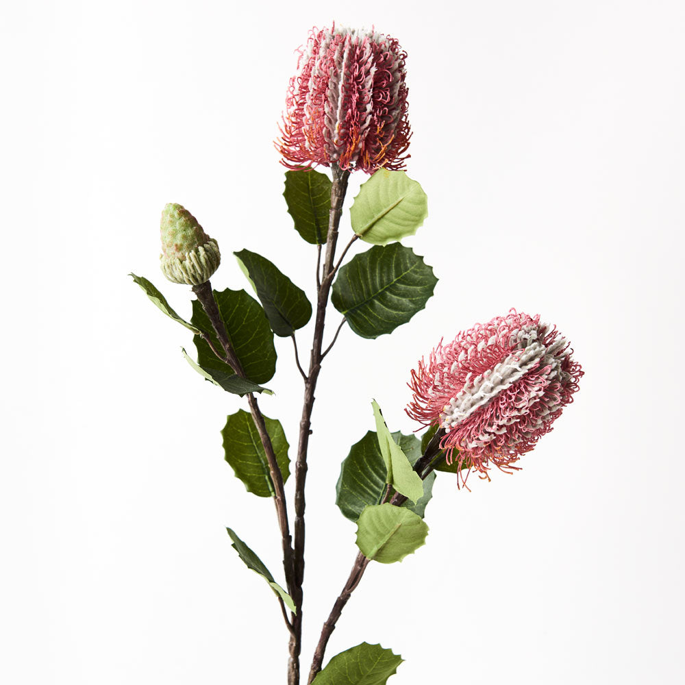 Banksia Spray