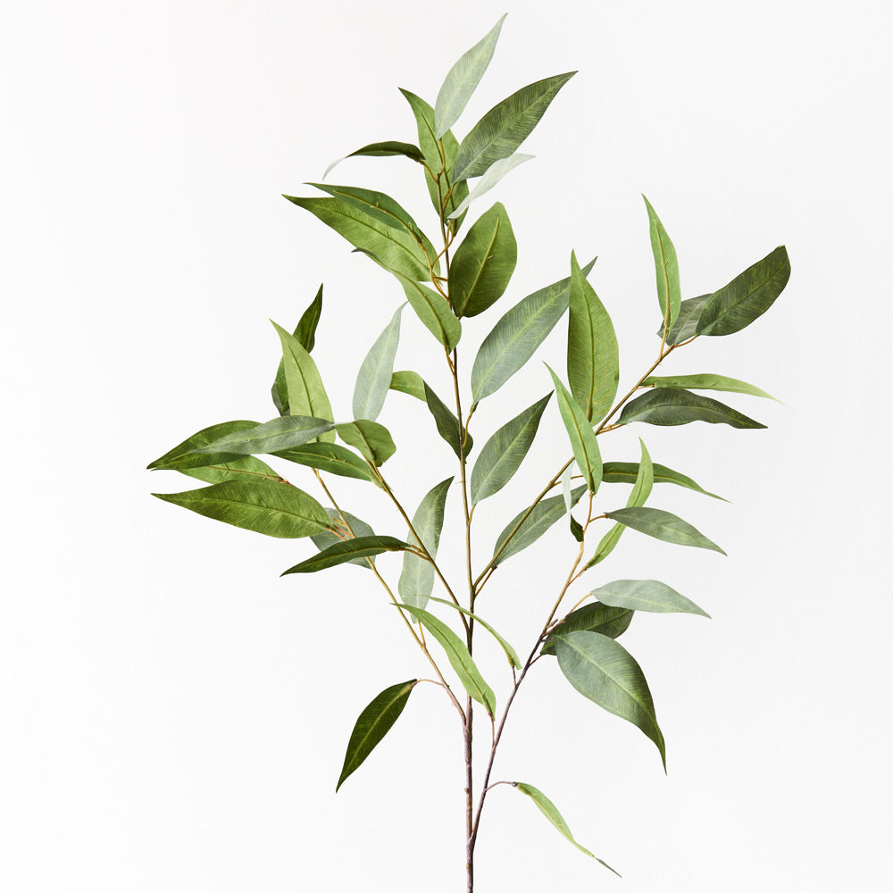 Eucalyptus Spray