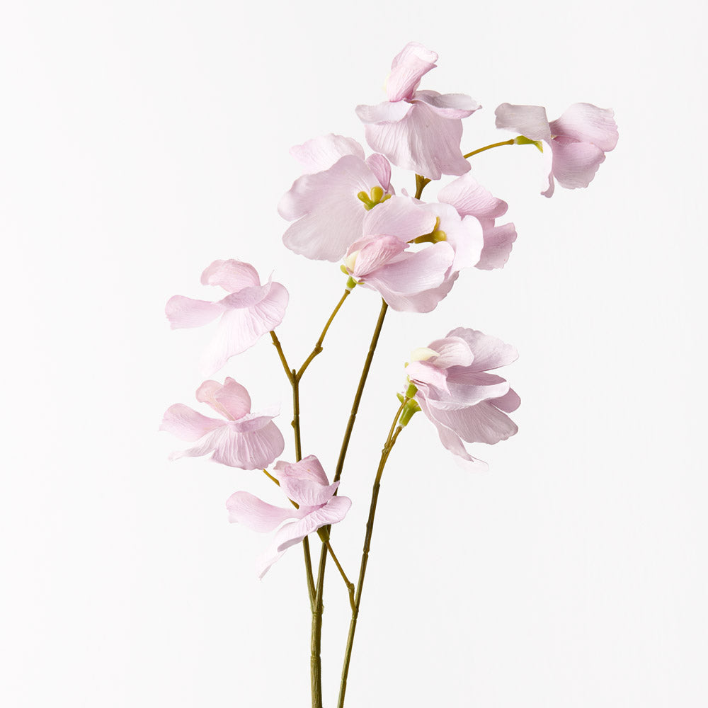 Sweat Pea Spray - Lavender