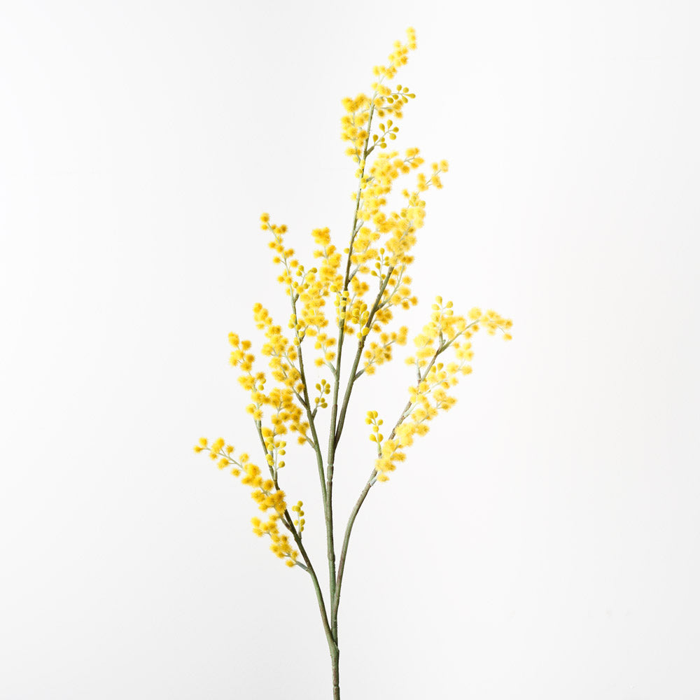Wattle Spray