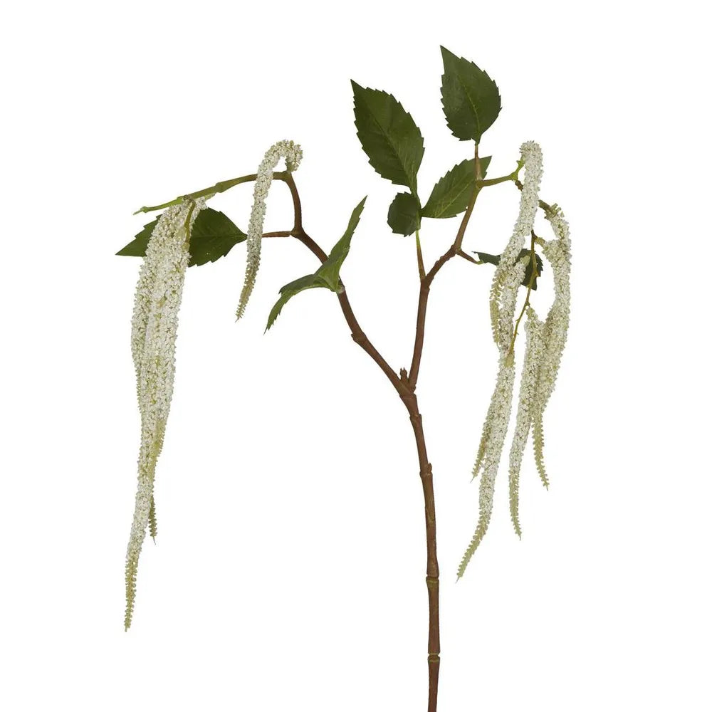 Amaranthus Spray