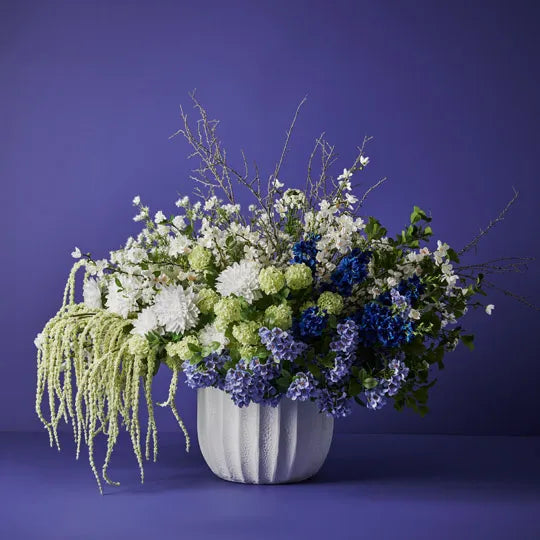 Delphinium