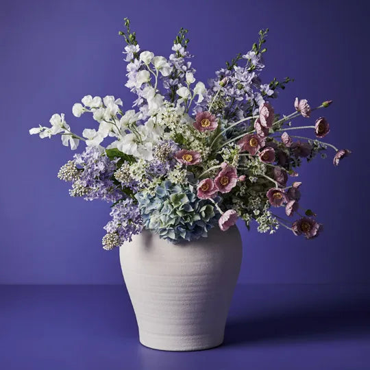 Hydrangea