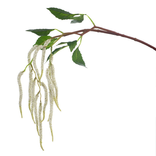 Amaranthus Spray