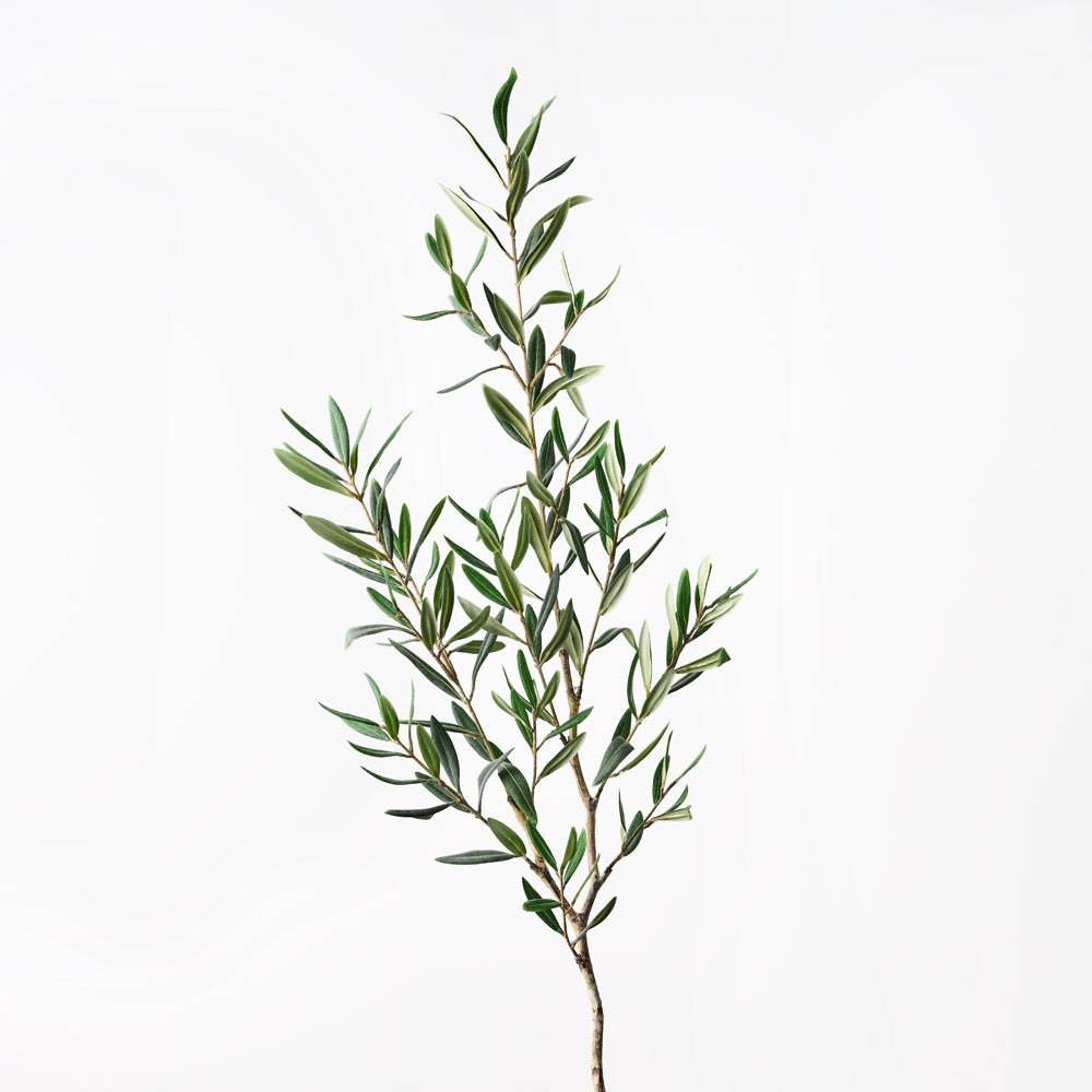 Olive Leaf Spray